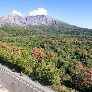 🏞️ 베니토리오카 공원 이미지 3